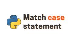 How to Use the match case Statement in Python