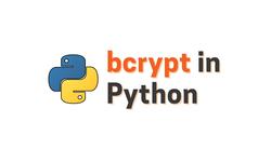 Protecting Passwords with bcrypt in Python