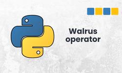 What is the Walrus operator in python?