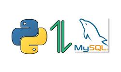Python MySQL