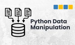 Python Data Manipulation